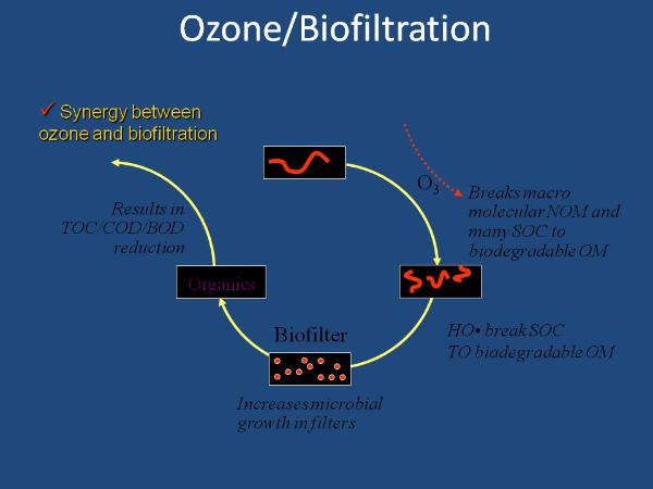 Ozone Biofiltration