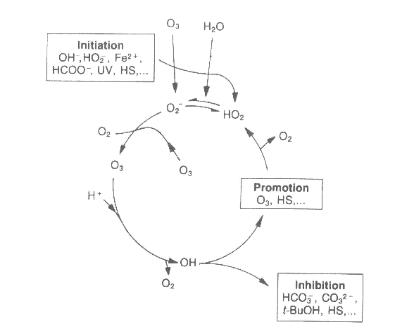 Ozone Decomposition - Effect of Initiators, Promoters and Inhibitors