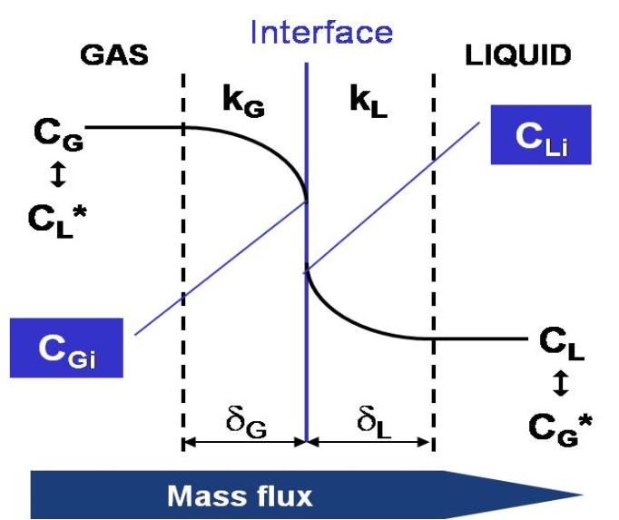 Ozone Mass Transfer Model